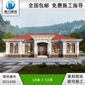 大氣歐式一層別墅設(shè)計圖紙及效果圖_農(nóng)村自建房設(shè)計,鼎川建筑