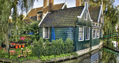 別墅植物花卉選擇禁忌與注意事項(xiàng)