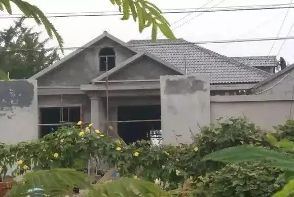 一款美觀經濟又實惠的一層帶閣樓農村自建別墅