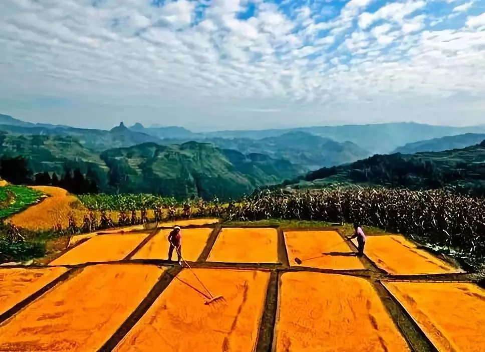 農(nóng)村宅基地政策變化，一塊宅基地不同補償方式！