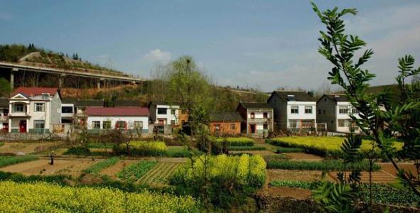 宅基地使用權包括哪些內容