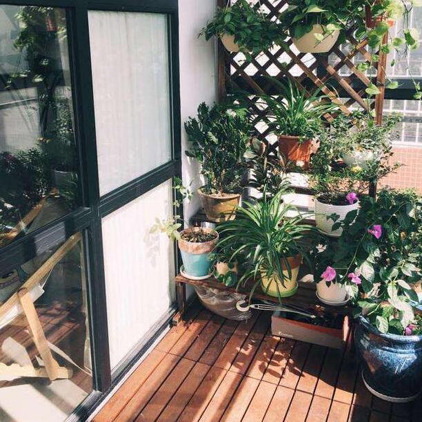 這些東西竟然不能放陽臺！你一定沒想到吧！