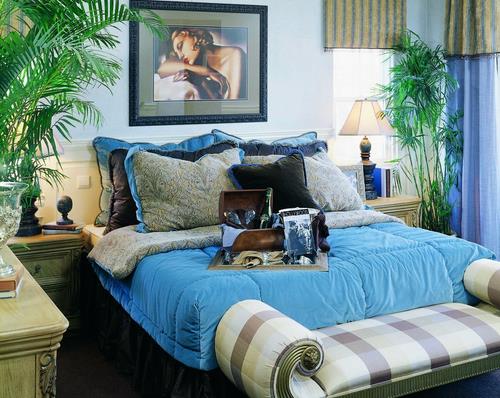 別墅家居風(fēng)水 臥室放什么植物好