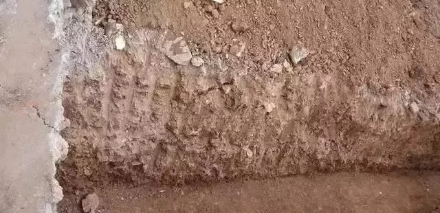 小成本就能蓋大別墅，你還在猶豫什么呢?